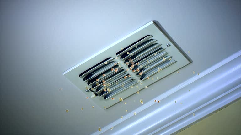 Best Affordable Air Duct Cleaning  in Bloomer, WI
