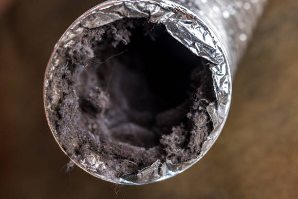 Best Ductwork Cleaning Services  in Bloomer, WI