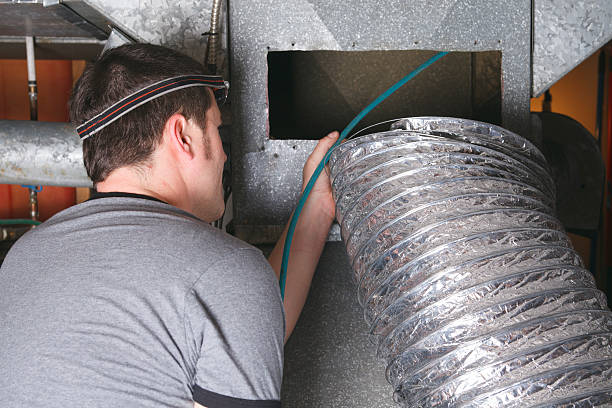 Best Air Duct Mold Removal  in Bloomer, WI