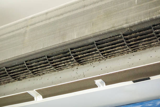 Best Air Duct Cleaning Company Near Me  in Bloomer, WI